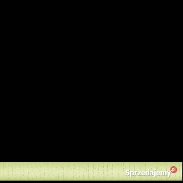 Cygaro Stokrotka verde 25 x 25 Kwadro aktualne Białogard