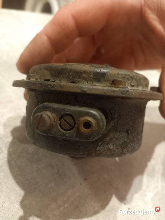 Pannonia sygnał Chojnice