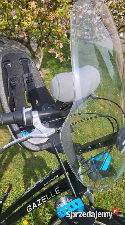 Thule Yepp Nexxt mini przedni fotelik rowerowy Gogolin