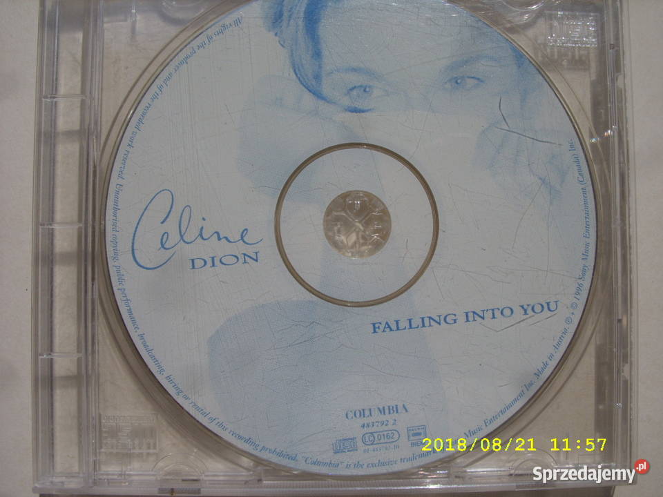 POP CD ANASTACJA i CELINA DION 5 SINGLI CD 3 i więcej Wołów