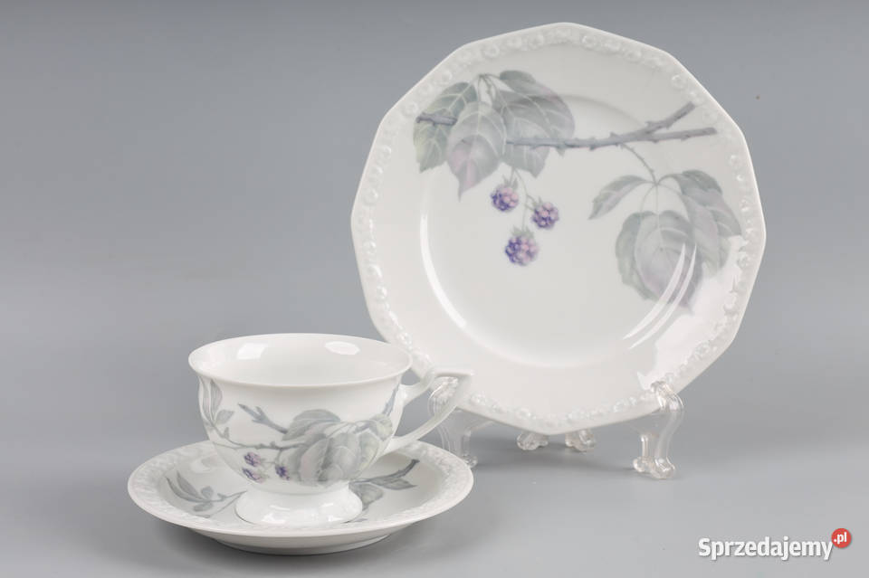 ARTexpert Rosenthal maria filiżanka jeżyna Porcelana i szkło Szczecin