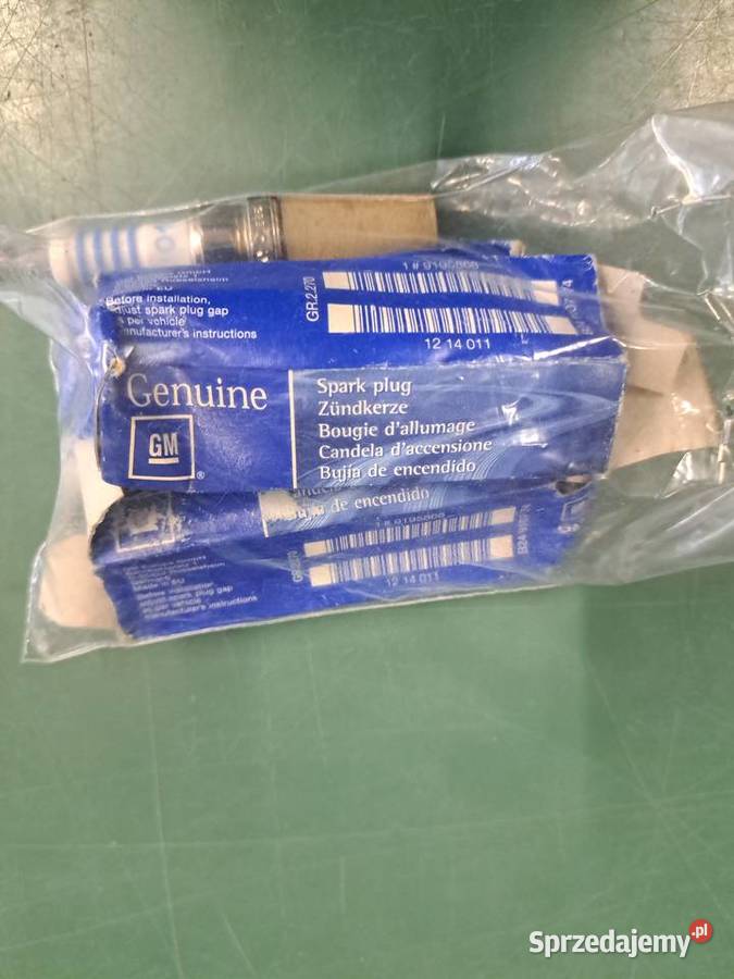 opel świece Łódź