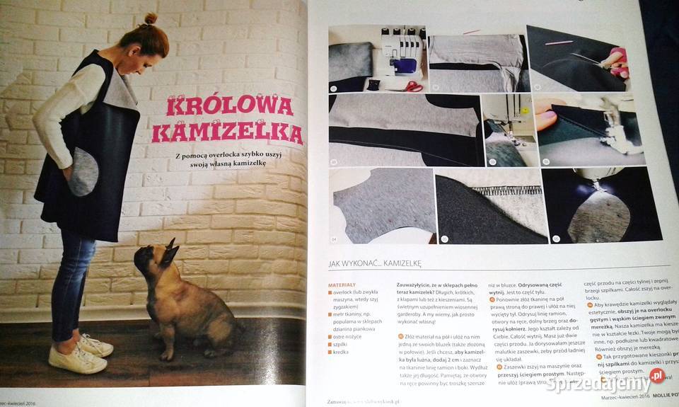 Mollie potrafi 2 14 2016 Pozostałe Chełm sprzedam