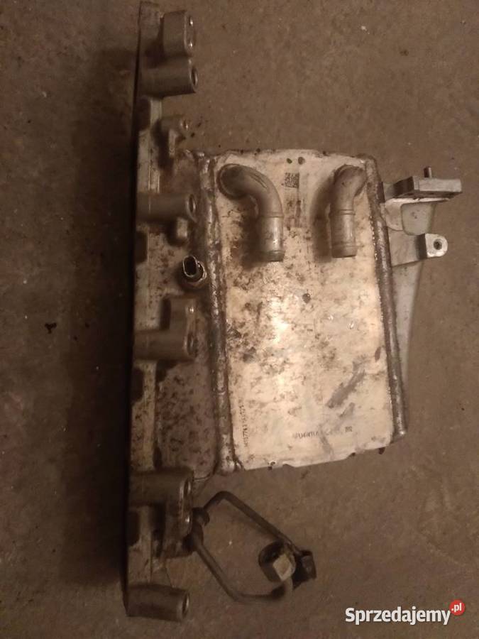 Kolektor ssący VW Seat Skoda Audi 16 TDI Gorzów Wielkopolski sprzedam