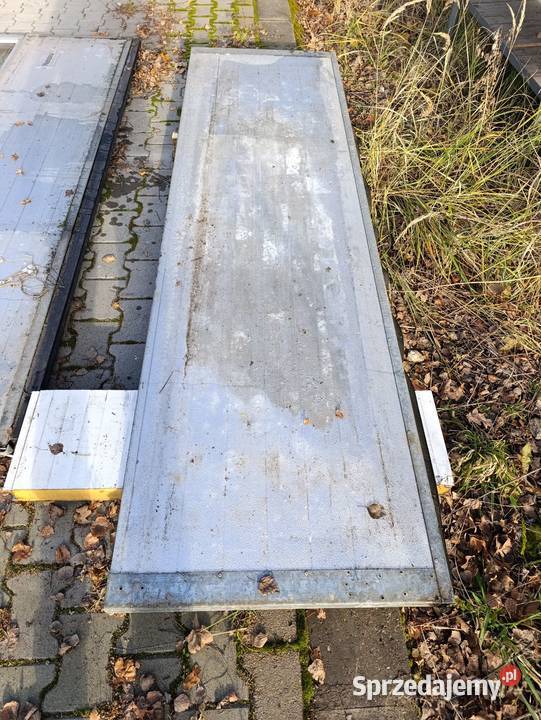 Panele brama segmentowa Czarny Las