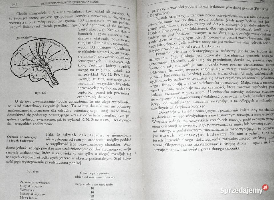 Psychologia Tom 1 Włodzimierz Szewczuk Chełm