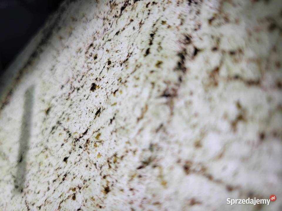 Fornir Kamienny Transparentny Rainforest Green Gdynia sprzedam