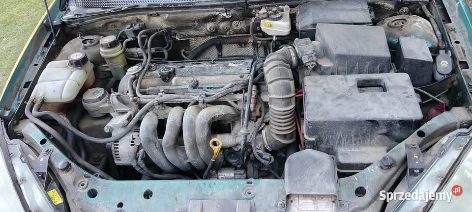 2000 Ford Focus 16 benzyna Tyrawa Wołoska sanok manualna sprzedam