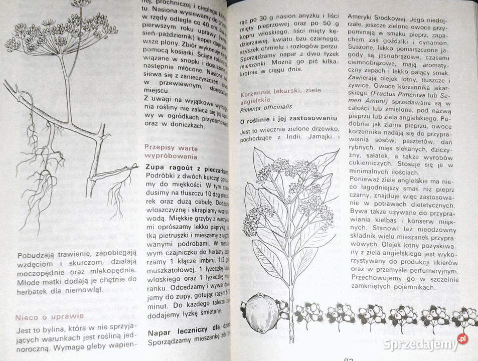 Rośliny przyprawowe i przyprawy w węgierskiej Chełm sprzedam