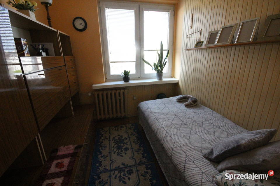 3pok 47met Wszystkich Świętych LOGGIAPIWNICA parter Wrocław