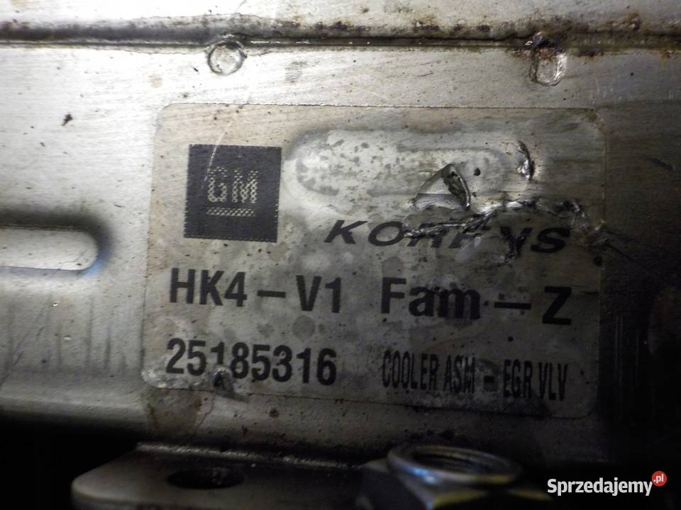 ORLANDO CRUZE 20 VCDI 15r 163 Z20D1 chlodnica Suków