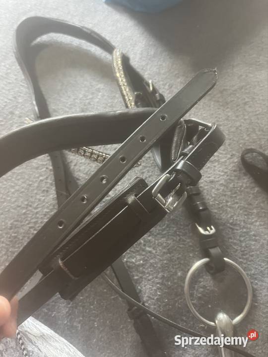 Oglowie horze Stargard