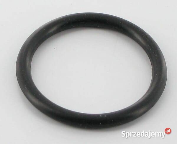 Pierścień uszczelniający oring 691031 Kamionna