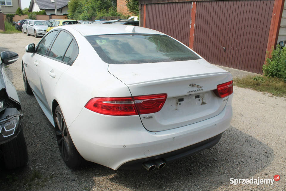 Jaguar XE I 2014 XE Ostrów Wielkopolski