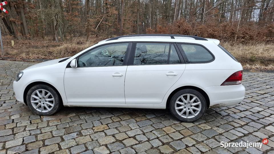 Vw Golf VI 16tdi 201213 105KM Polska Nowa Wieś