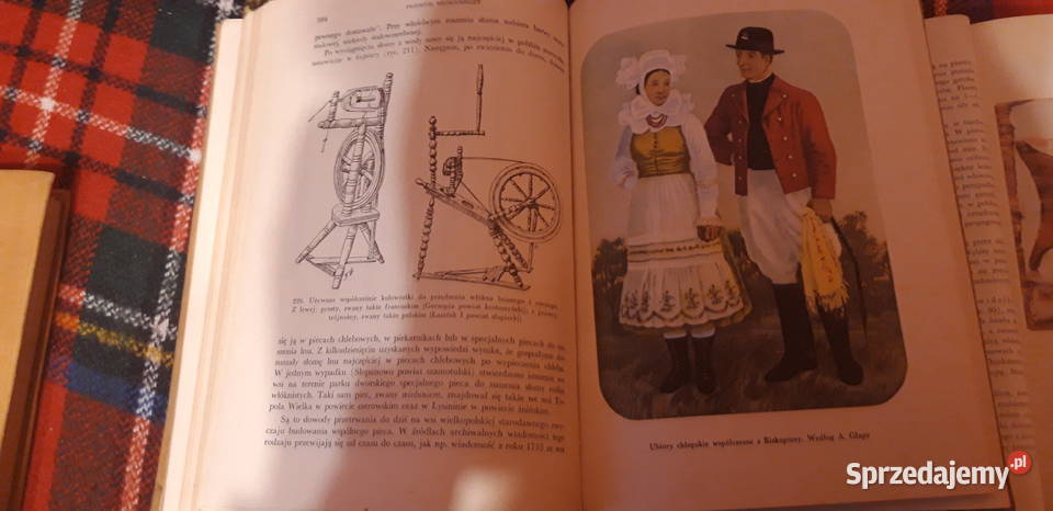 Kultura Ludowa Wielkopolskit13 Pń 1960 całość Rok wydania 1960 Książki naukowe i popularnonaukowe Książki naukowe i popularnonaukowe wielkopolskie