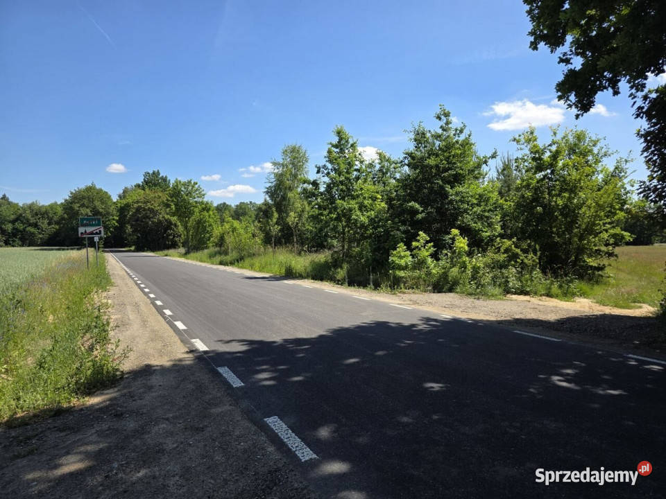 Działka 8116m2 Pałki 8116m2 Sprzedaż sprzedam