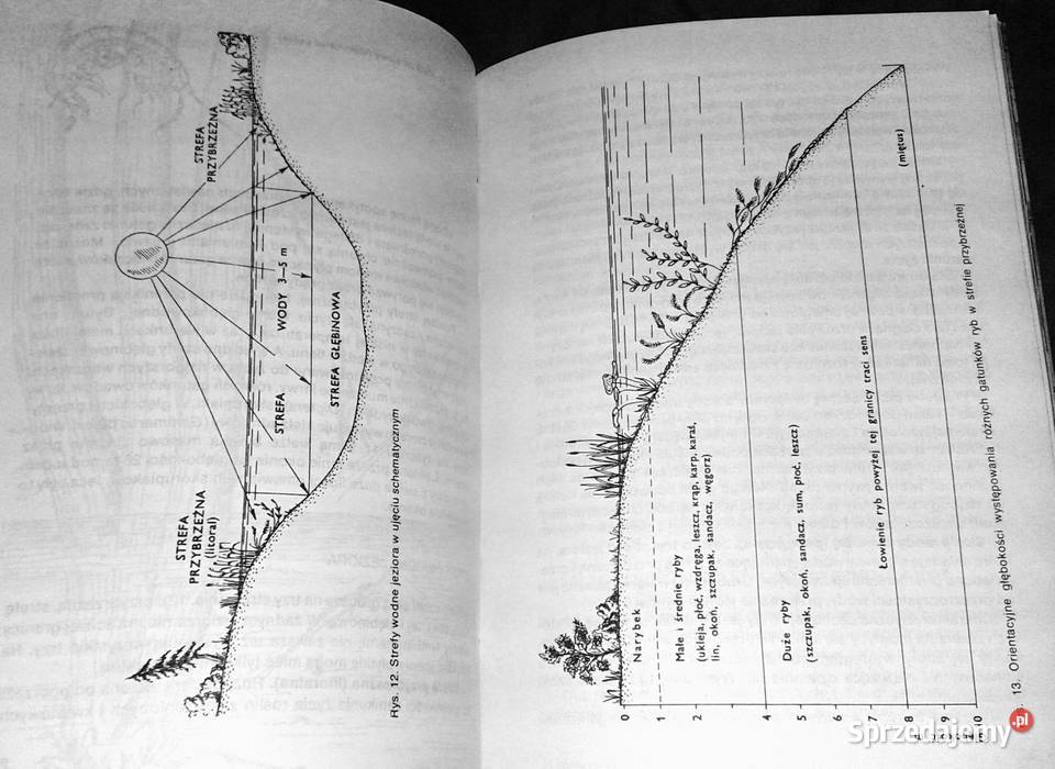 Wędkarstwo jeziorowe Tadeusz Andrzejczyk Chełm sprzedam
