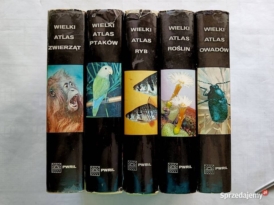Wielki Atlas Zwierząt Ptaków Ryb Roślin i Owadów Gdynia
