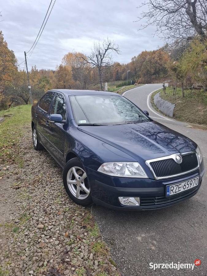 Skoda Octavia 19 TDI Ambiente 105KM Tyczyn