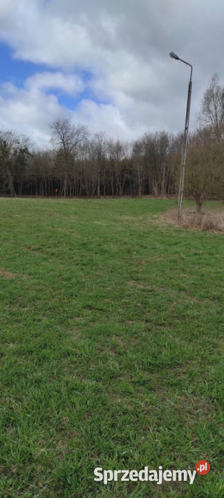 Działka 133 ha z brzegiem Jeziora Dużego Orle pomorskie Liniewo sprzedam
