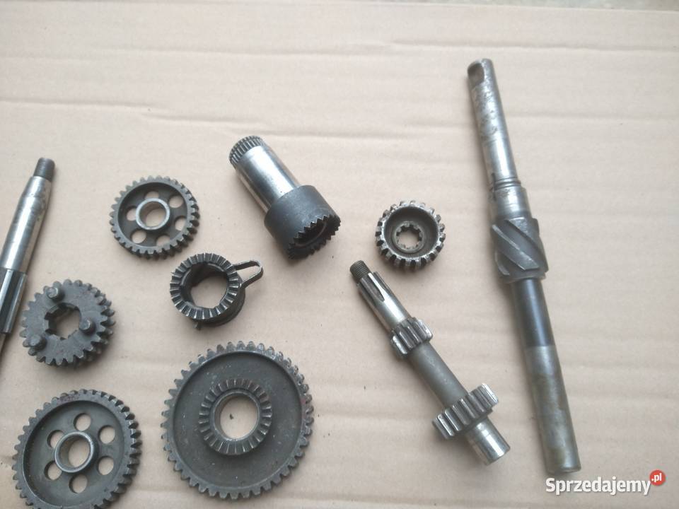 Ryś oryginalna skrzynia biegów Ostrowiec Świętokrzyski