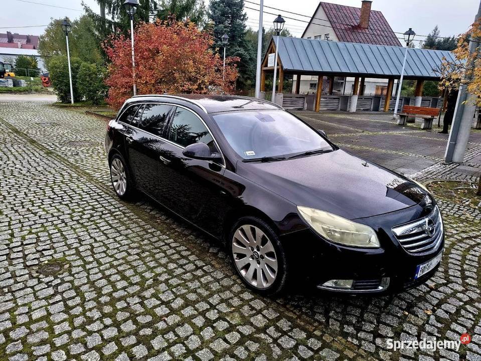 Opel Insignia 2009 20 CDTI z Włoch sprowadzony Bistuszowa sprzedam