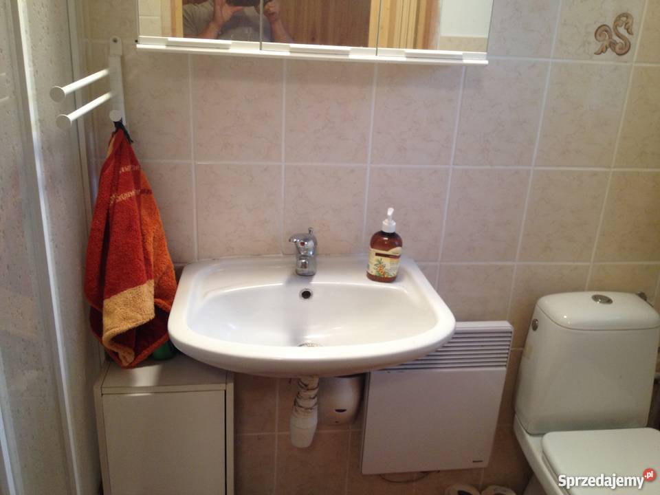 Domek letniskowy w okolicyWIlczyn wolnostojący wielkopolskie