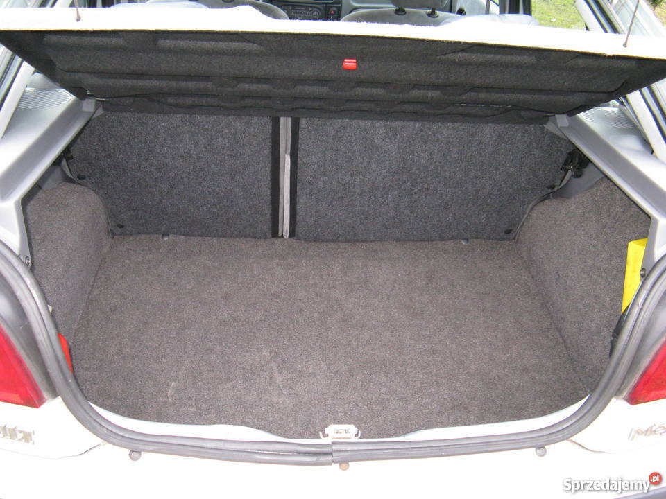 Renault Megane I FL 2001r 14 16v bogate Orzechowo