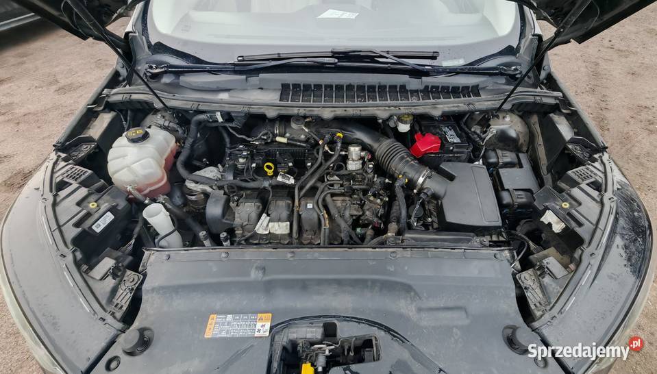 Ford Edge 2020 Titanium 20 EcoBoost 250 Automat skórzana tapicerka Gdańsk sprzedam
