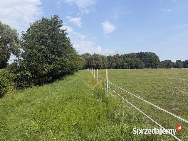 sprzedaży działki Budy Zosine 5700m2