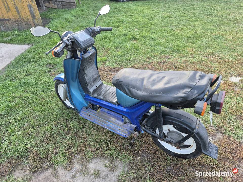 Simson