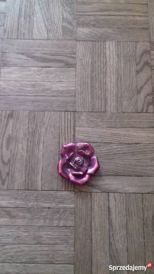 Roża odcienie różowego pomorskie Gdańsk sprzedam