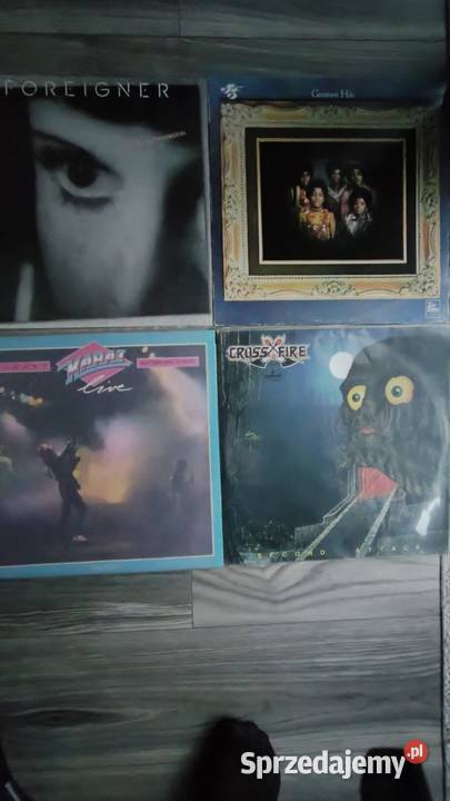 Płyty winylowe Zielona Góra