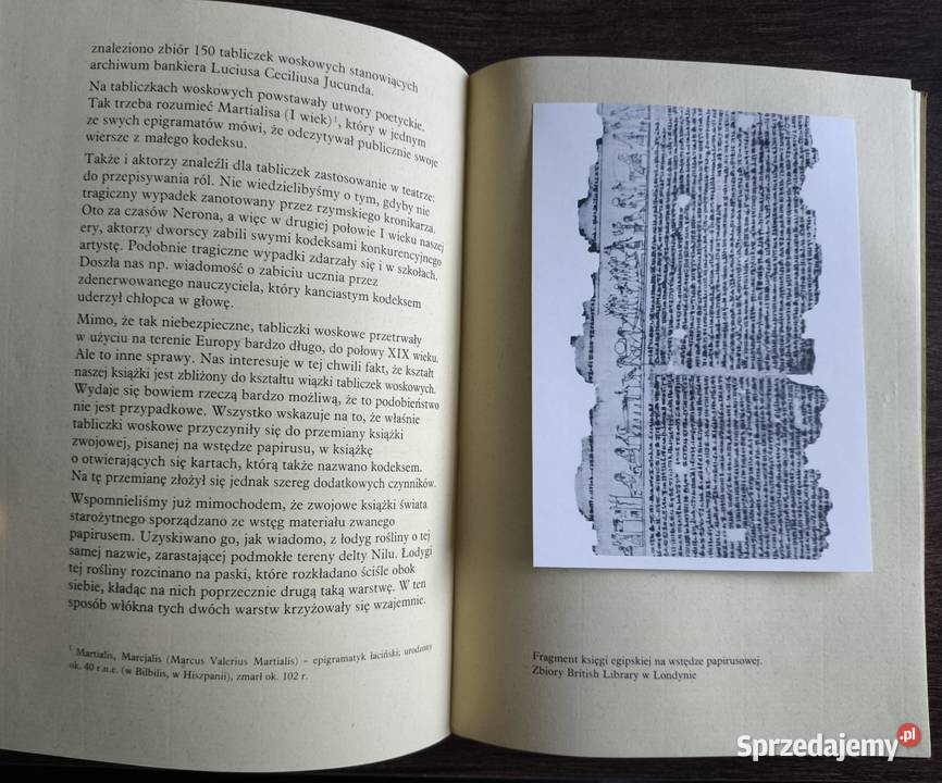 Tajemnice ksiąg rękopiśmiennych Bogdan Horodyski Warszawa