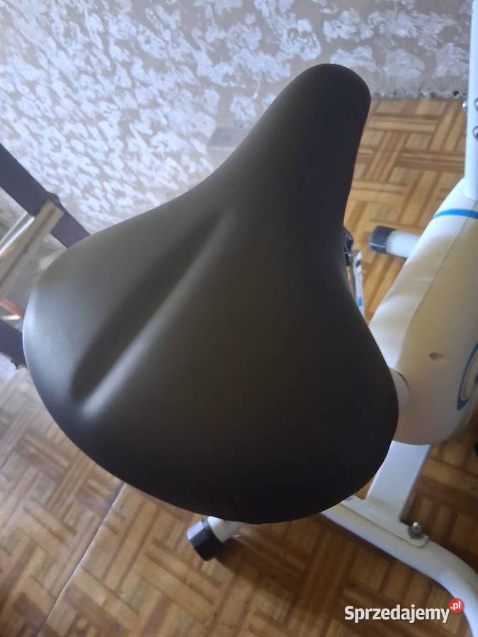 Rower treningowy magnetyczny pionowy Klarfit Sławków