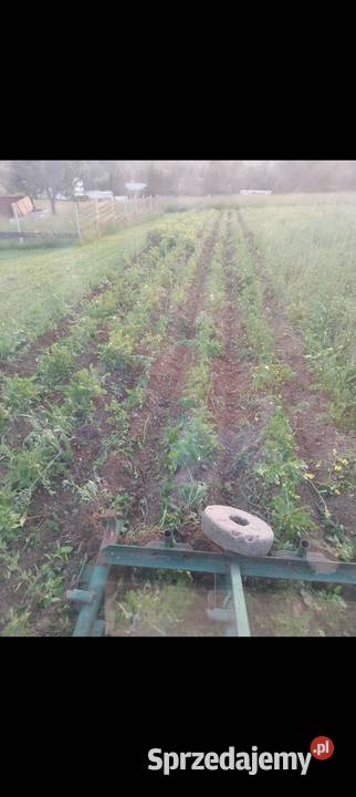 Obsypnik pielnik 3rzedowy Obsypniki i pielniki małopolskie Nowy Sącz