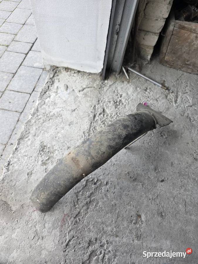 Błotnik komar lubelskie Barchaczów