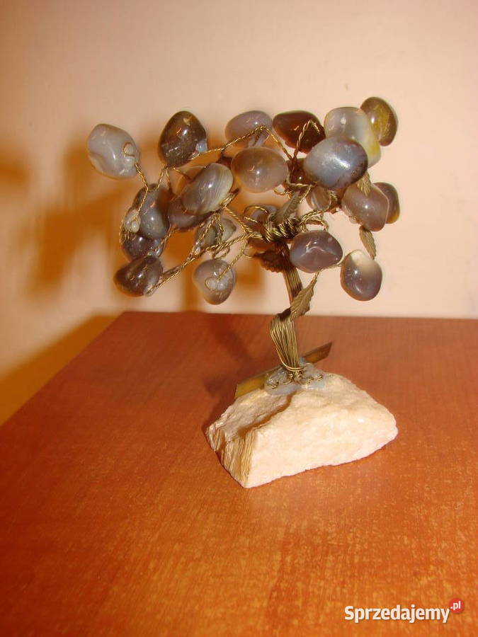 drzewko szczęścia Pruszcz Gdański sprzedam