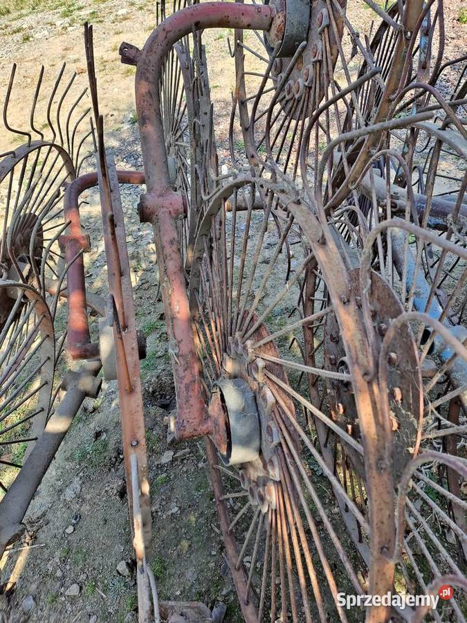 Słoneczko przewracarka Nowa Słupia