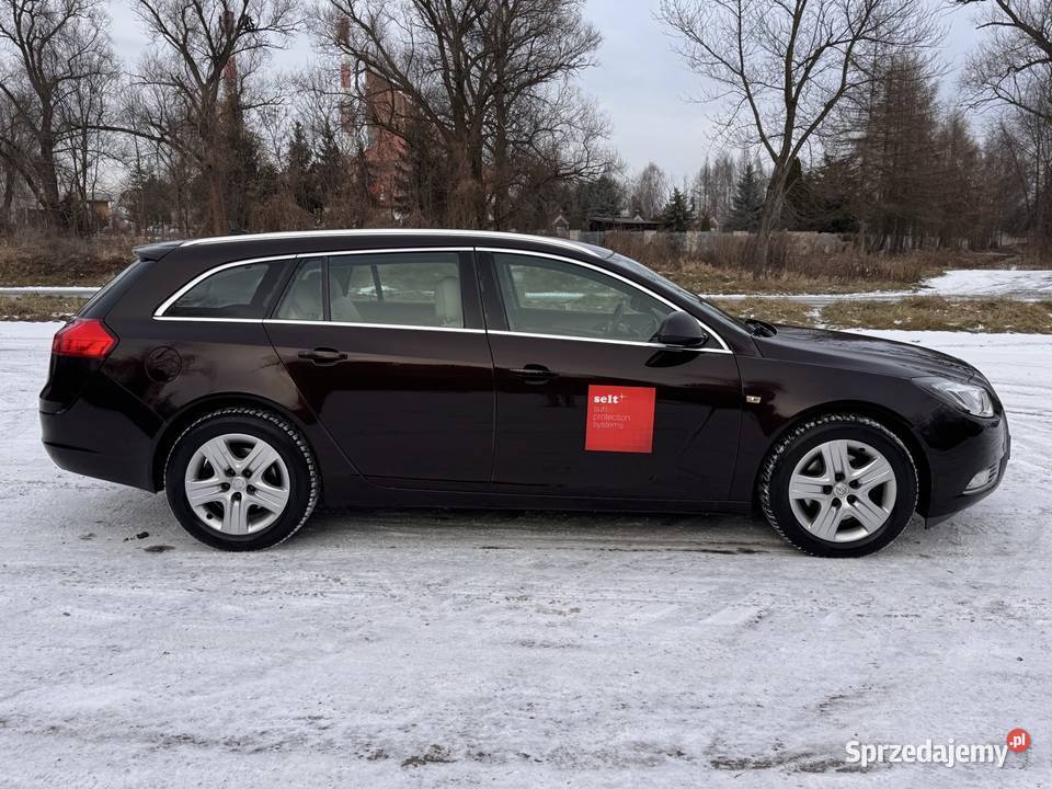 Opel Insygnia 20cdti Salon xenon navi