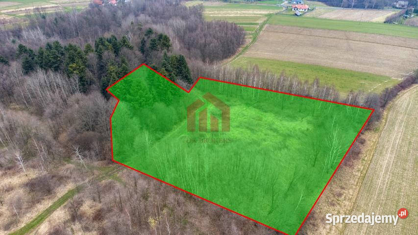 sprzedaży gruntu Żyznów 10400m2