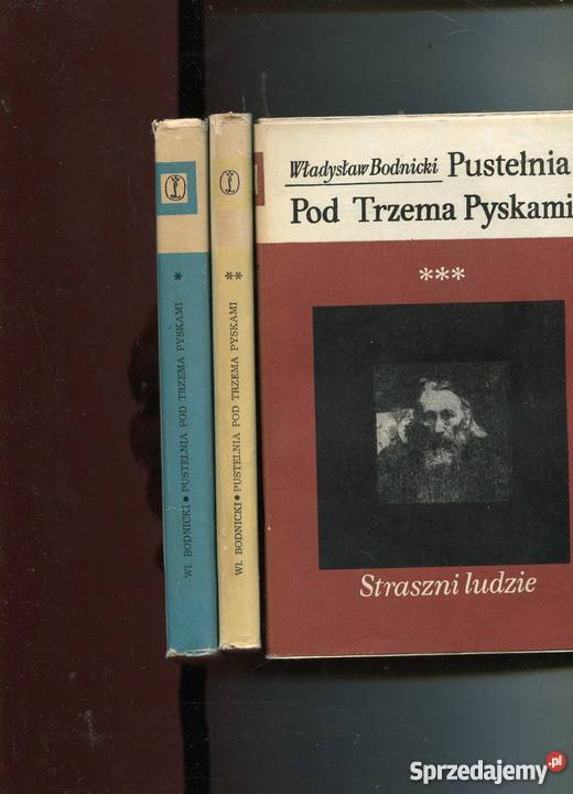 Pustelnia Pod Trzema Pyskami T13 Szczecin