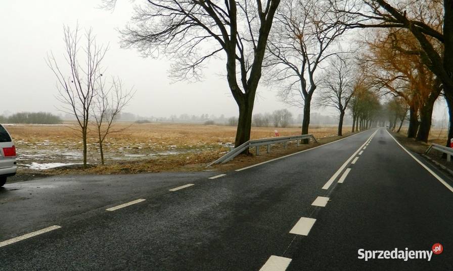 Udział 12 działki rolnej 189 ha Nieruchomości Krępsko