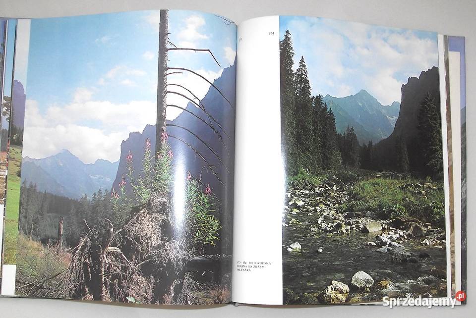 G Marczek Krywania do Jaworzyny mazowieckie Warszawa sprzedam