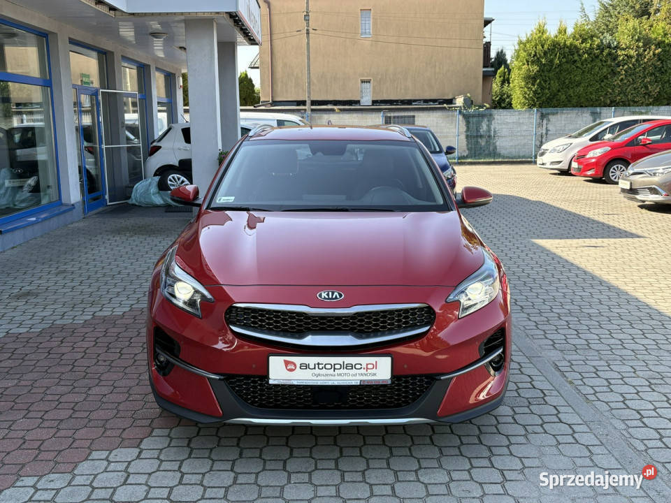 Kia XCeed 15 160 Automat Pół Skóry Kamera Full klimatyzacja XCeed sprzedam