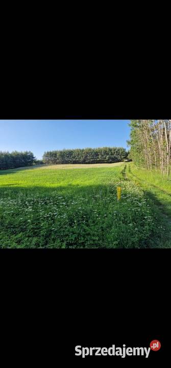 Działki budowlane 0zł/m2 Kocikowa