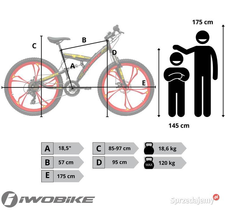 Rower Męski Damski Górski 26 IWOBIKE 2025 Gorlice