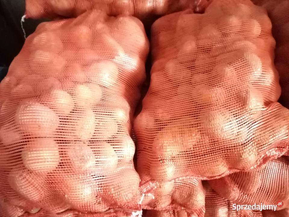 Sprzedam ziemniaki jadalne Jurek Urszulin