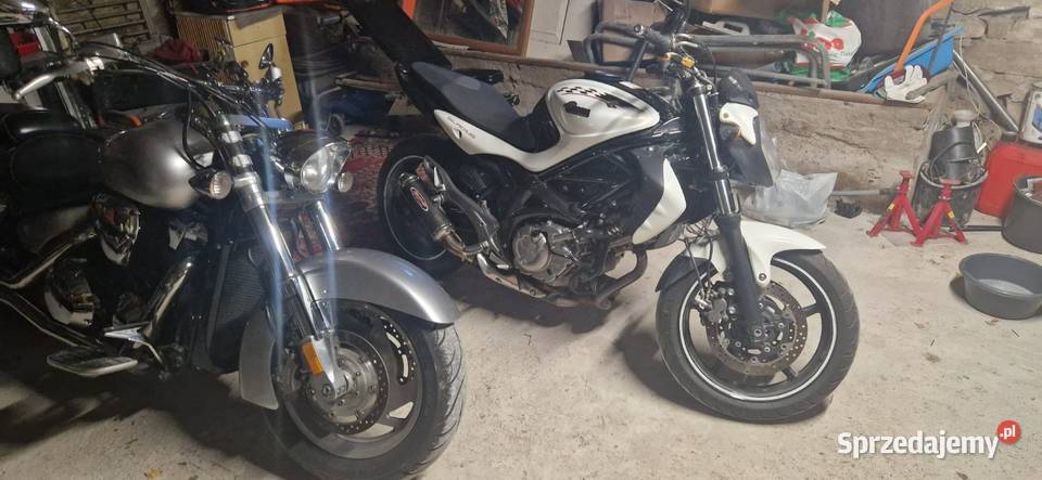 Suzuki gladius sfv650 Piotrów